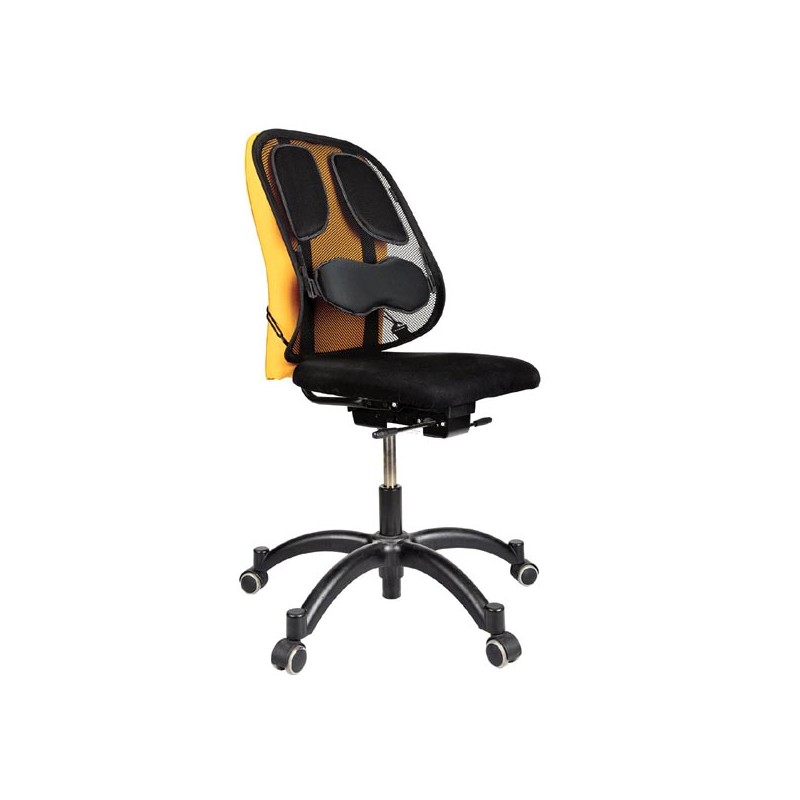 Fellowes Zádová opěrka Profesional, černá, ergo 8029901