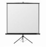 Reflecta TRIPOD Crystal 160x160cm (1:1, 87"/221cm, 156x156cm) plátno stojanové