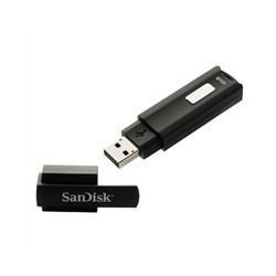 SanDisk USB flash disk Cruzer Enterprise 4 GB