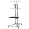 Neomounts PLASMA-M1800E / Mobile Flat Screen Floor Stand (height: 110-180 cm) / Silver