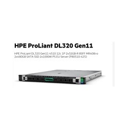 HPE PL DL320g11 4510 (2.4/12C) 2x32G (p64706) 2x480G (P40497) MR408i-o 8SFF 2x1000W 2x1Gb Smart Choice