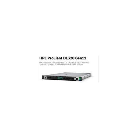 HPE PL DL320g11 4510 (2.4/12C) 2x32G (p64706) 2x480G (P40497) MR408i-o 8SFF 2x1000W 2x1Gb Smart Choice