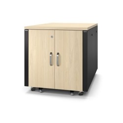 APC NetShelter - Rozvaděč stojanový (vertikální) - zvukotěsný - AC 100-230 V - javor - 12U - 19" - kompatibilní s TAA - pro