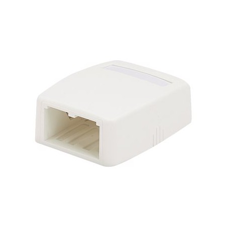 Panduit MINI-COM - Krabice k upevnění na povrch - arktická bílá - 2 porty CBXQ2AWA