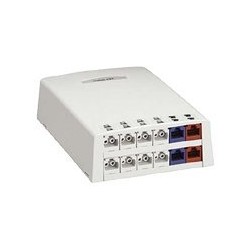 Panduit MINI-COM Multi-Media/Fiber Surface Mount Box - Krabice k upevnění na povrch - arktická bílá - 12 portů