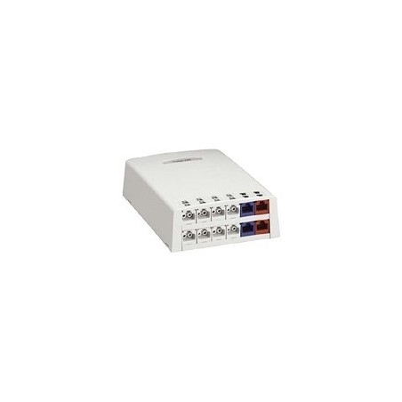 Panduit MINI-COM Multi-Media/Fiber Surface Mount Box - Krabice k upevnění na povrch - arktická bílá - 12 portů