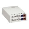 Panduit MINI-COM Multi-Media/Fiber Surface Mount Box - Krabice k upevnění na povrch - arktická bílá - 12 portů