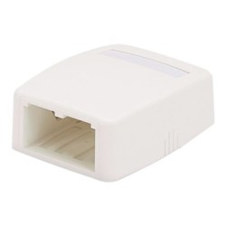 Panduit MINI-COM - Krabice k upevnění na povrch - arktická bílá - 2 porty CBXQ2WHA