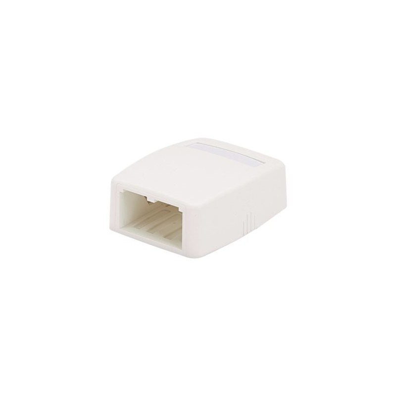 Panduit MINI-COM - Krabice k upevnění na povrch - arktická bílá - 2 porty CBXQ2WHA