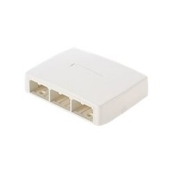 Panduit MINI-COM - Krabice k upevnění na povrch - arktická bílá - 6 portů