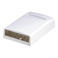 Panduit MINI-COM - Krabice k upevnění na povrch - arktická bílá - 4 porty