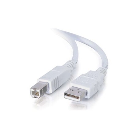C2G - Kabel USB - USB (M) do USB typ B (M) - 100 mA - 3 m - licna, dvousmerný, up to 480 Mbps - bílá