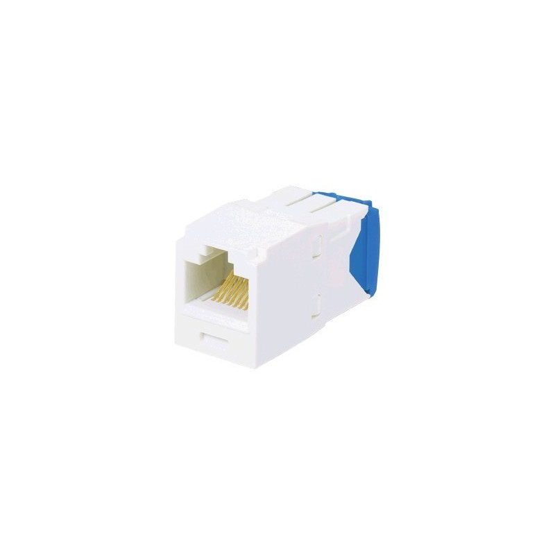 Panduit MINI-COM TX-6 10Gig - Modul - CAT 6 - UTP - černá - 1 port