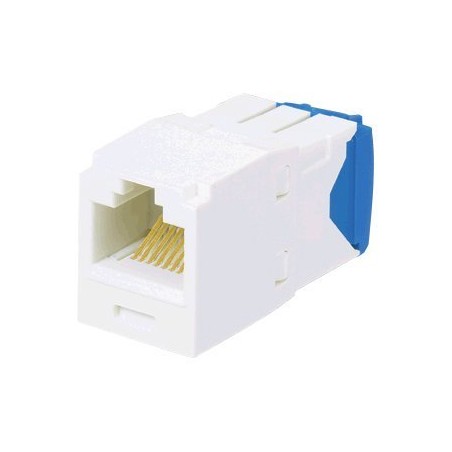 Panduit MINI-COM TX-6 10Gig - Modul - CAT 6 - UTP - černá - 1 port