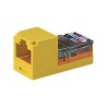 Panduit MINI-COM Mini-Jack TX5e - Modul - CAT 5e - UTP - RJ-45 - žlutá