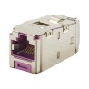 Panduit MINI-COM TX6 Plus Shielded Jack Module - Modul - CAT 6e - STP - RJ-45 - fialová
