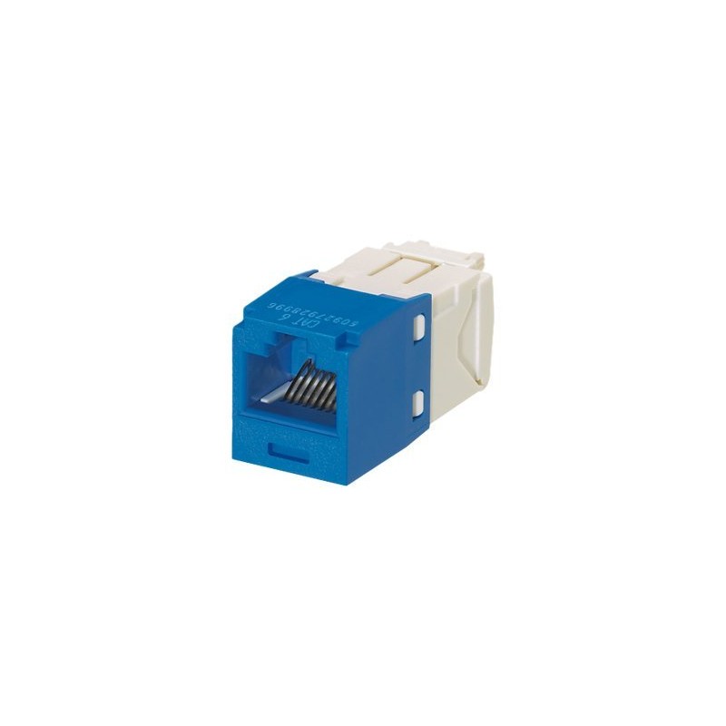 Panduit MINI-COM TX6 Plus - Modul - CAT 6 - UTP - modrá - 1 port