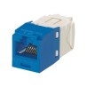 Panduit MINI-COM TX6 Plus - Modul - CAT 6 - UTP - modrá - 1 port