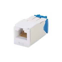 Panduit MINI-COM TX-6 10Gig - Modul - CAT 6a - UTP - bílá - 1 port