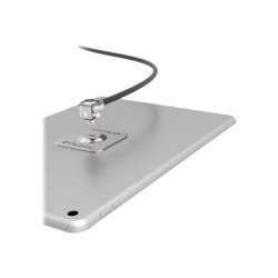 Compulocks Universal Tablet Lock with Keyed Cable Lock - Security plate - adhesive - bílá