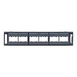 Panduit MINI-COM Modular Faceplate - Propojovací panel - 12 portů