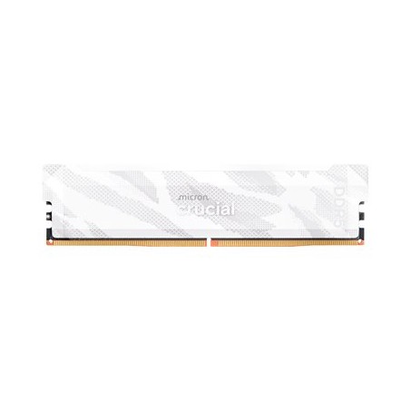 Crucial Pro OC - DDR5 - modul - 16 GB - DIMM 288-pin - 6400 MT/s / PC5-51200 - CL32 - 1.35 V - bez vyrovnávací pameti - snežná