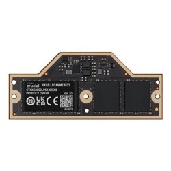 Crucial - LPDDR5X - modul - 32 GB - LPCAMM2 - 8533 MT/s