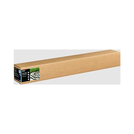 Epson Fine Art II - Bavlna - hladký matný - 490 mikronů - bílá (natural white) - Role 111,8 cm x 15 m) - 300 g/m? - 1 role