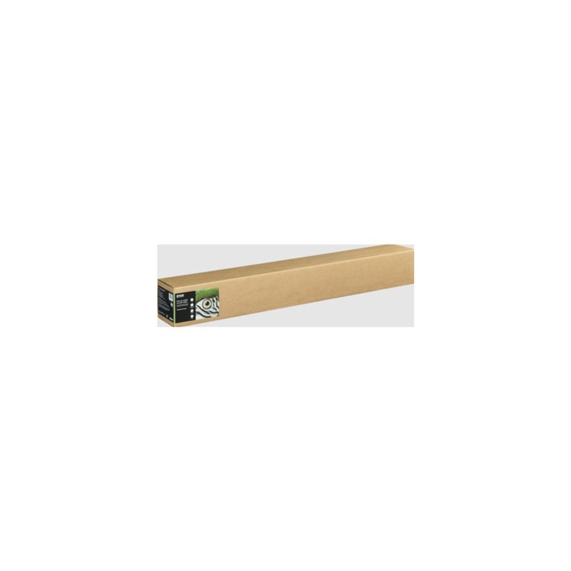 Epson Fine Art II - Bavlna - matný - 490 mikronů - hladká zářivá - Role 111,8 cm x 15 m) - 300 g/m? - 1 role pouzdro - bavlněný