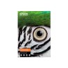 Epson Fine Art II - Bavlna - texturovaný matný - 515 mikronů - jasně bílá - A2 (420 x 594 mm) - 300 g/m? - 25 listy bavlněný