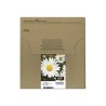 Epson T1806 Easy Mail Packaging - 4-balení - 15.1 ml - černá, žlutá, azurová, purpurová - originální - pouzdro - inkoustová