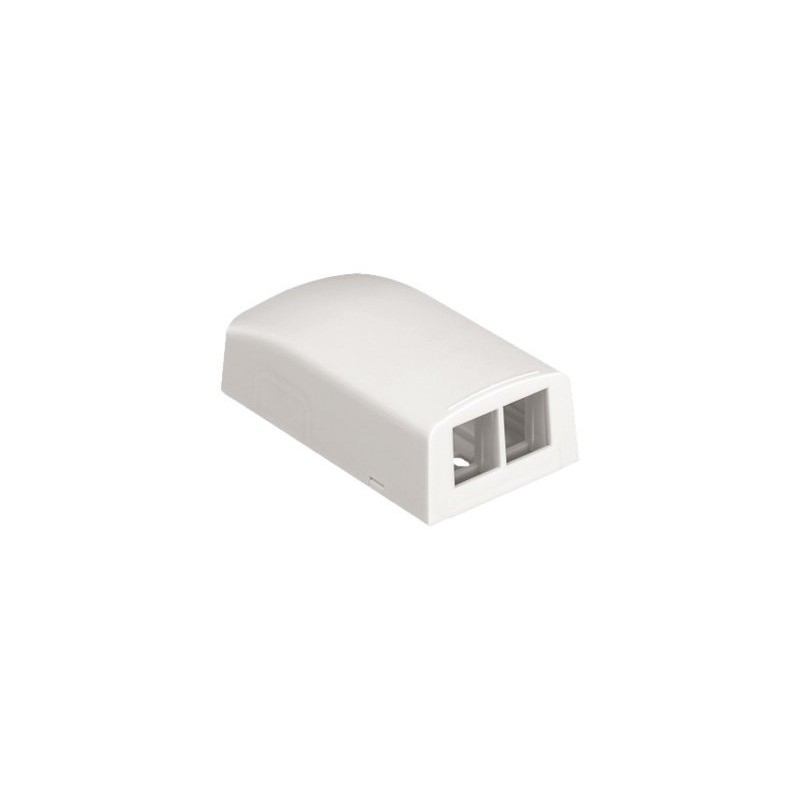 Panduit NetKey Surface Mount Boxes - Krabice k upevnění na povrch - arktická bílá - 2 porty - pro P/N: LD3IW10-A, LD3IW6-A