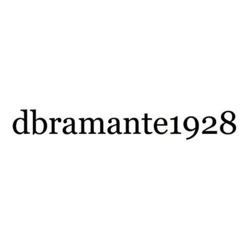 dbramante1928 Oslo - Pouzdro s klopou pro mobilní telefon - polyuretan (PU), plast - černá - pro Samsung Galaxy S21 FE 5G