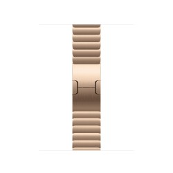 Watch Acc/42/Gold Link Bracelet