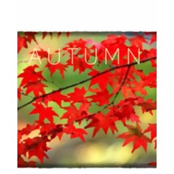 ESD Autumn