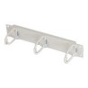 Triton - Panel pro usporádání kabelu - RAL 7035 - 1U - 10"