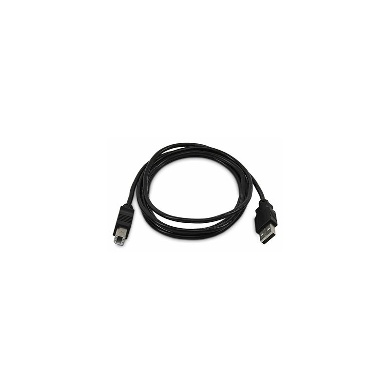 StarTech.com - Kabel USB - kompatibilní s TAA - USB (M) do USB typ B (M) - USB 2.0 - 1.8 m