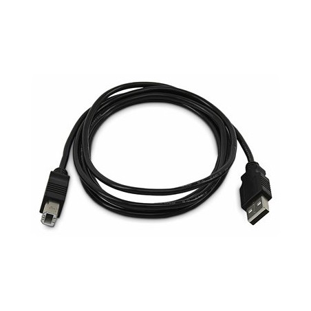 StarTech.com - Kabel USB - kompatibilní s TAA - USB (M) do USB typ B (M) - USB 2.0 - 1.8 m