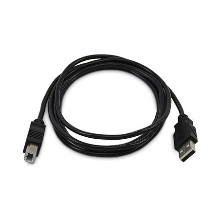 StarTech.com - Kabel USB - kompatibilní s TAA - USB (M) do USB typ B (M) - USB 2.0 - 3 m
