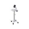 Ergotron StyleView Tablet Cart, SV10 - Vozík - pro tablet/klávesnice - zdravotní - kov - bílá, hliník - velikost obrazovky: až
