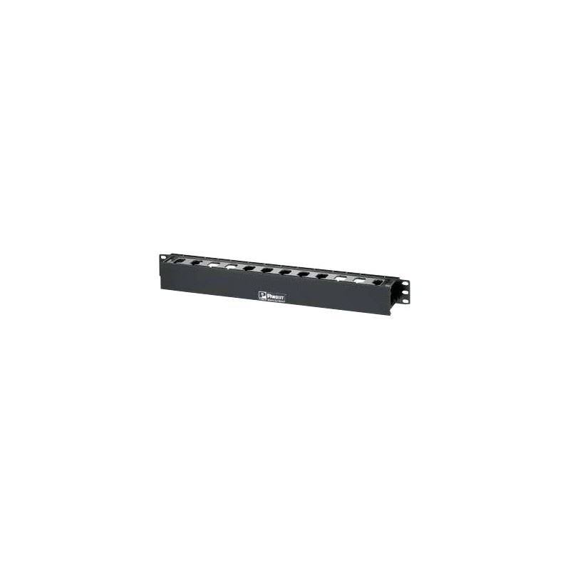 Panduit PatchLink Horizontal Cable Manager - Panel pro uspořádání kabelů - 1U - 19"