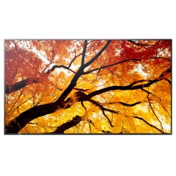 SHARP M502, LCD 50" Message Large Format Display, 24/7, 3840 x 2160, 500 [cd/m2]