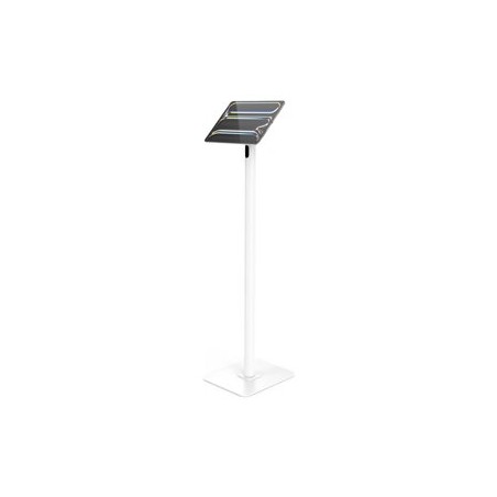 Compulocks - Stojan - pro tablet - bílá - velikost obrazovky: up to 13" - montážní rozhraní: 100 x 100 mm - montáž na podlahu