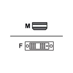 AMD - Video adaptér - Mini DisplayPort (M) do DVI-D (F)