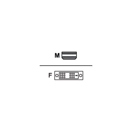 AMD - Video adaptér - Mini DisplayPort (M) do DVI-D (F)