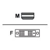 AMD - Video adaptér - Mini DisplayPort (M) do DVI-D (F)