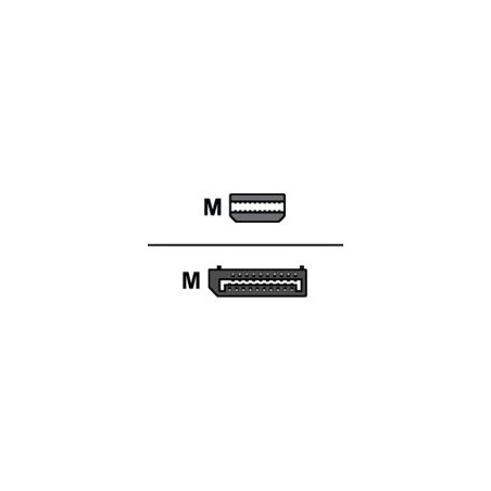 AMD - Adaptér DisplayPort - Mini DisplayPort (M) do DisplayPort (M)