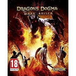 Dragons Dogma Dark Arisen – hra pro PC (elektronická licence)