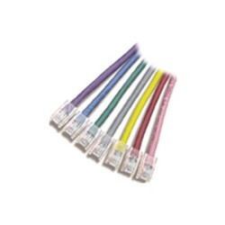 APC - Patch kabel - RJ-45 (M) do RJ-45 (M) - 30.5 m - UTP - CAT 5 - licna - šedá