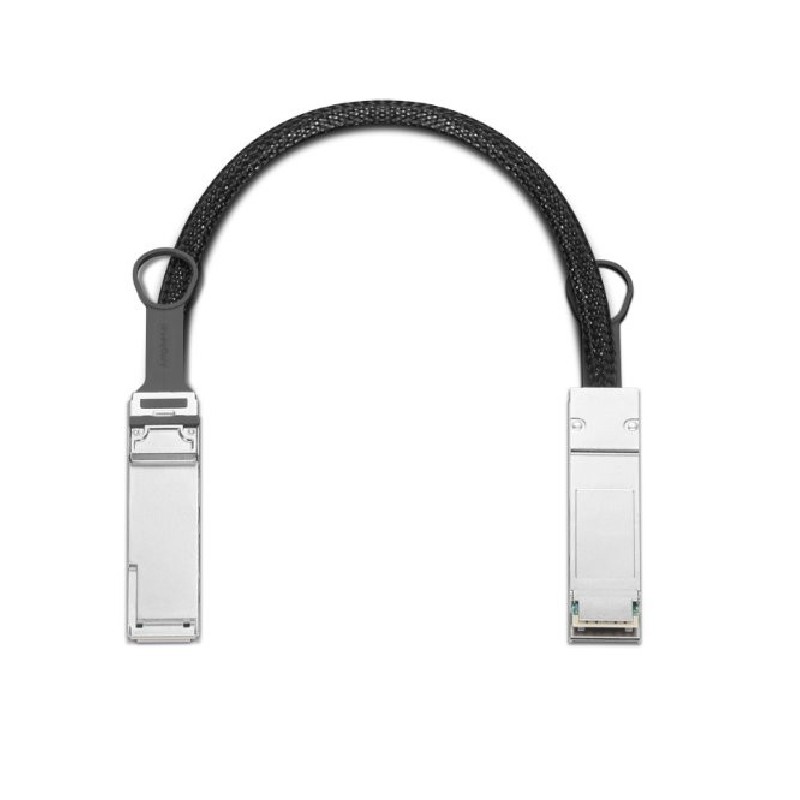 Lenovo - Kabel pro přímé připojení 200GBase - QSFP do QSFP - 40 cm - 0.4 m - optické vlákno